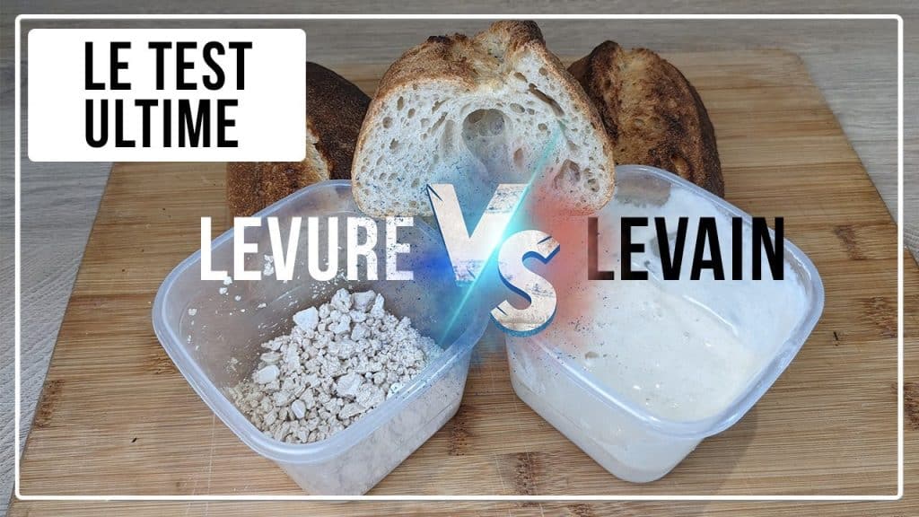 levure ou levain