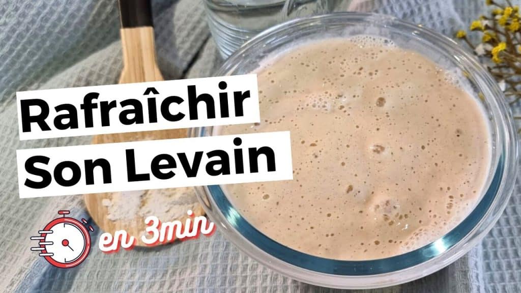 rafraichir levain